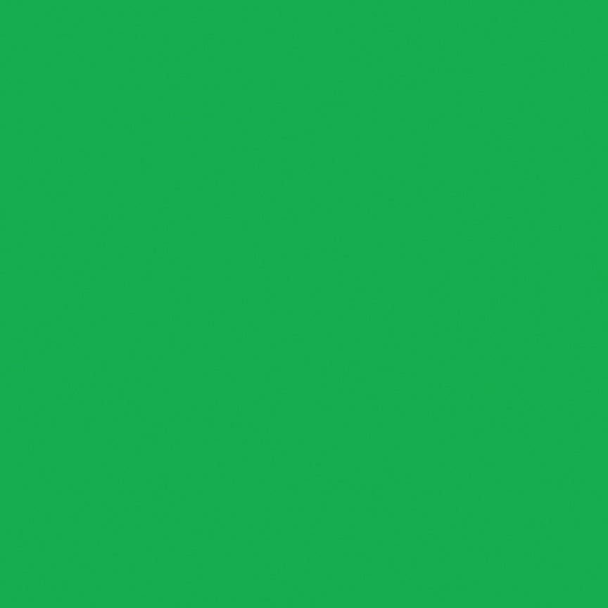 NorthcottColorWorks Premium Solids Quilt Fabric 72 KellyFabric