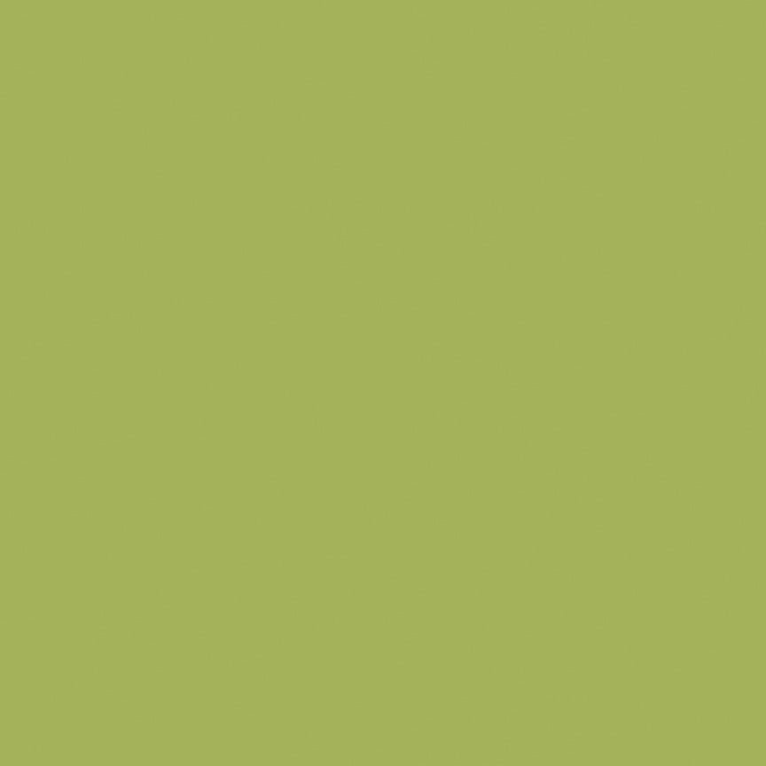 Colorworks Premium Solids Quilt Fabric Kiwi | Northcott