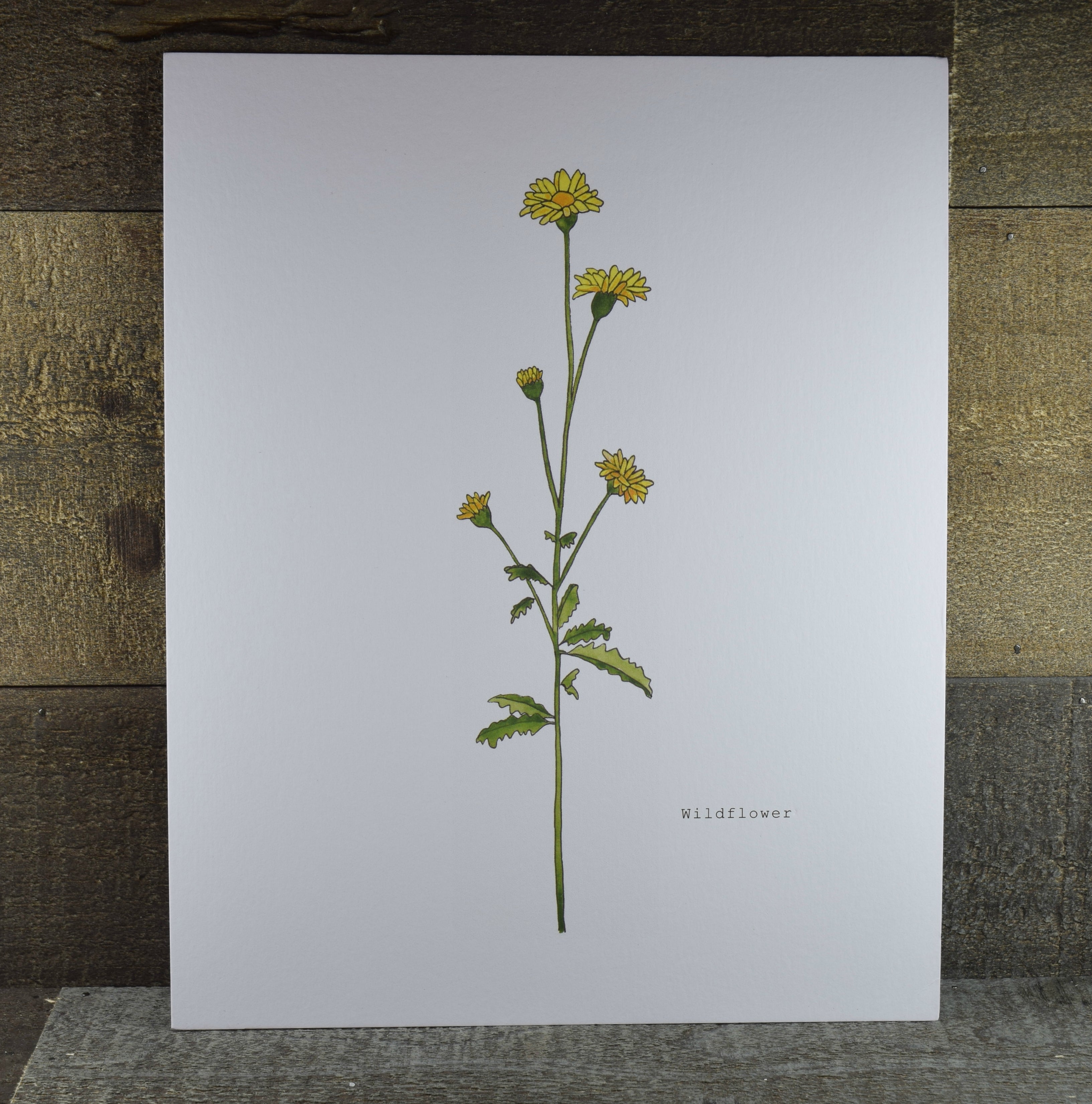 Wild Flower Illustrated Art Print