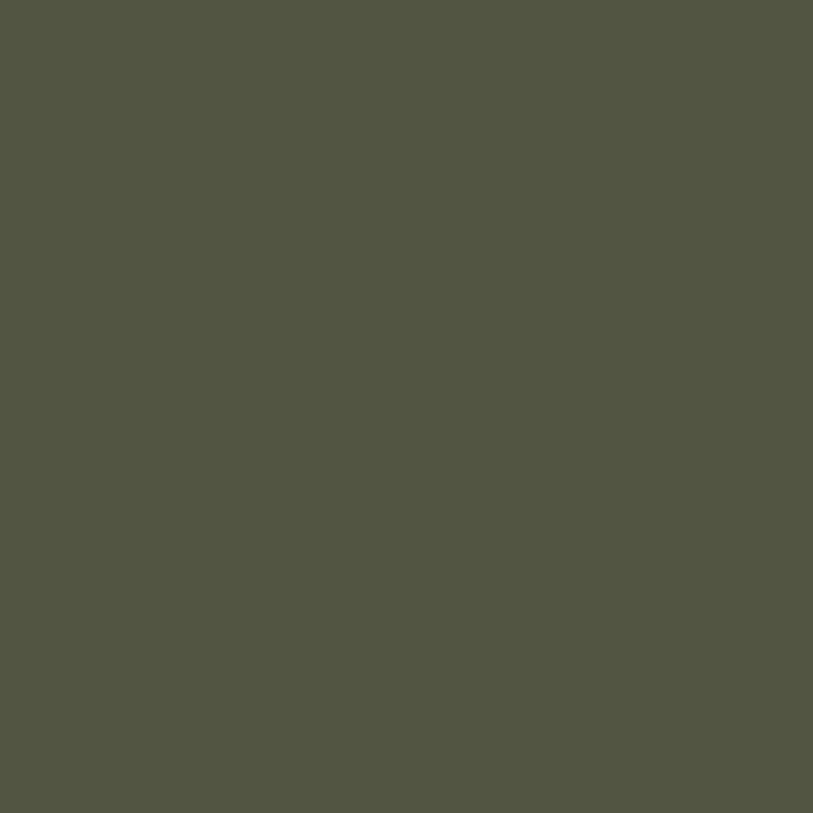 ColorWorks Premium Solids Quilt Fabric 351 Hickory