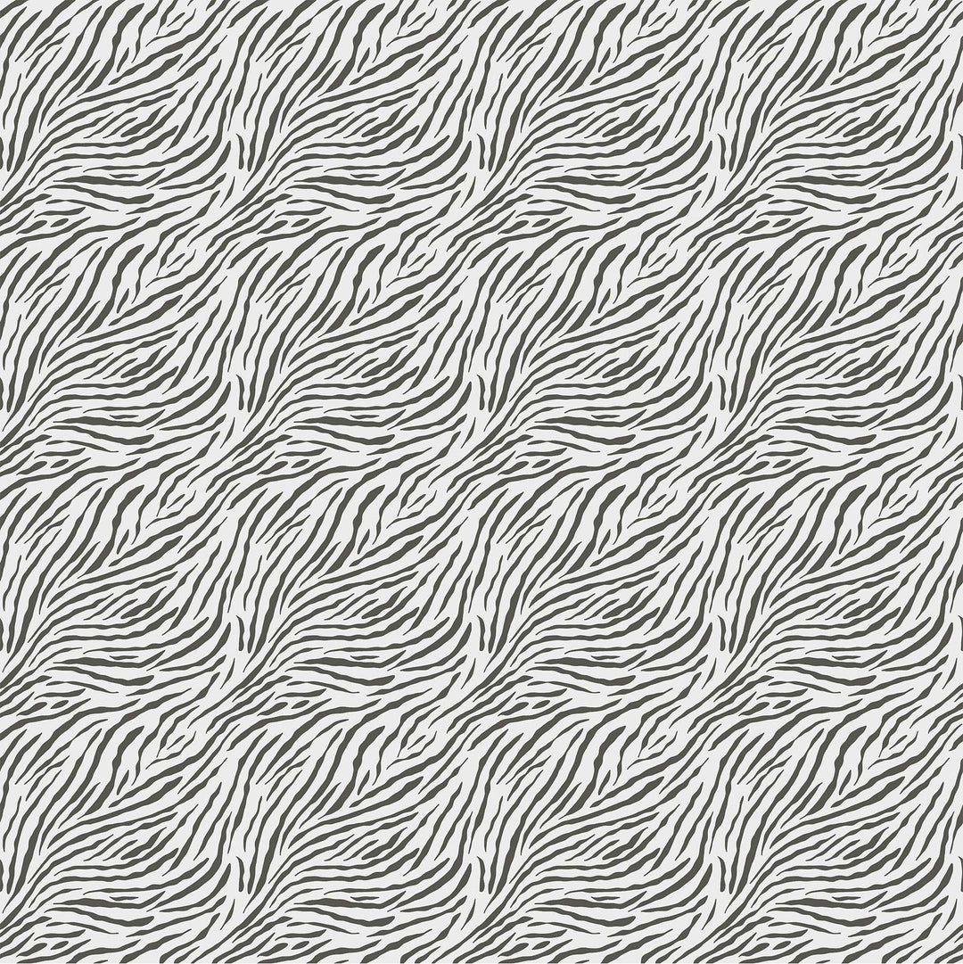 Baby Safari Zebra Print White
