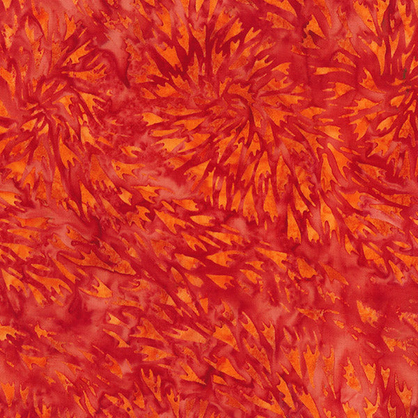 Changing Seasons Petal Movement Wild Orange