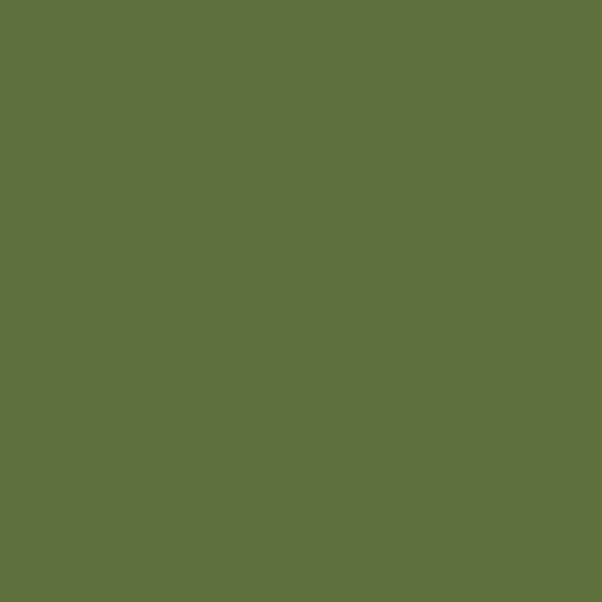 Colorworks Premium Solids Quilt Fabric Green Pepper | Northcott