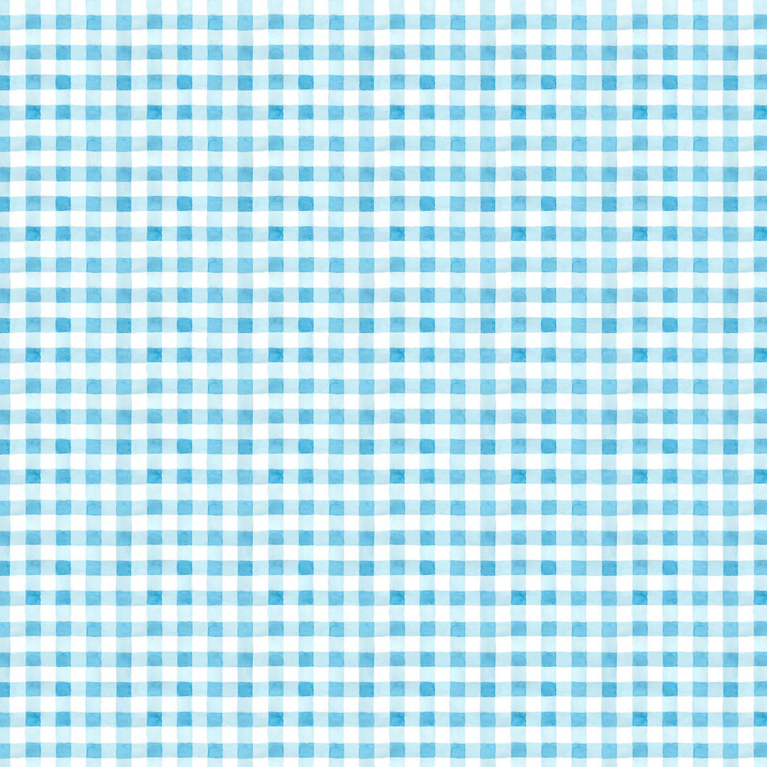 Picnic by The Lake Summer Gingham Blue (6540662997157)