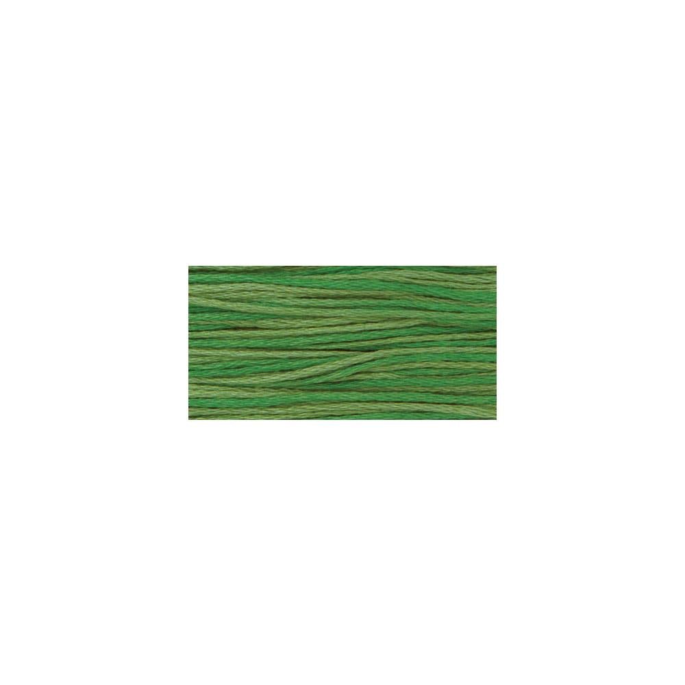 Weeks Dye Works 6-Strand Over-Dyed Embroidery Floss 2171 Emerald